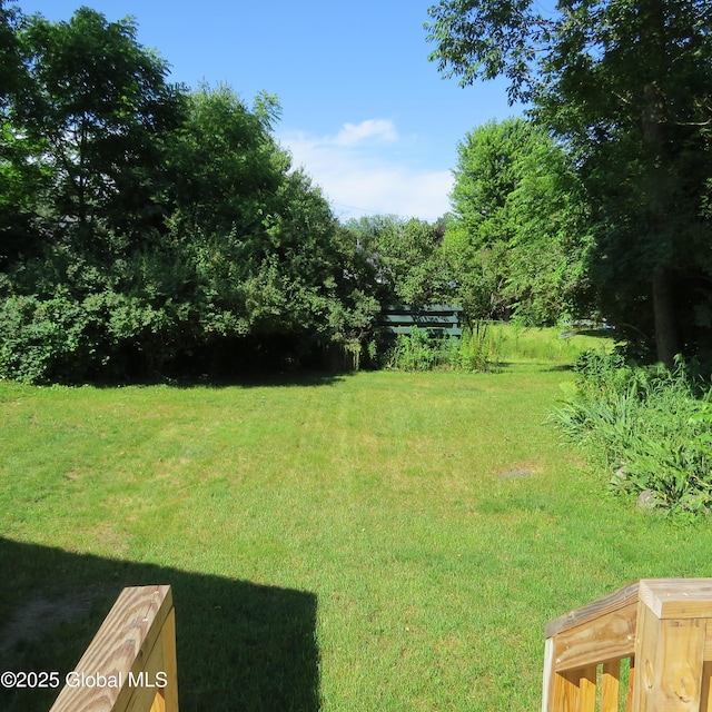 60 Bridge St, Broadalbin, NY 12025 - view of grassy yard