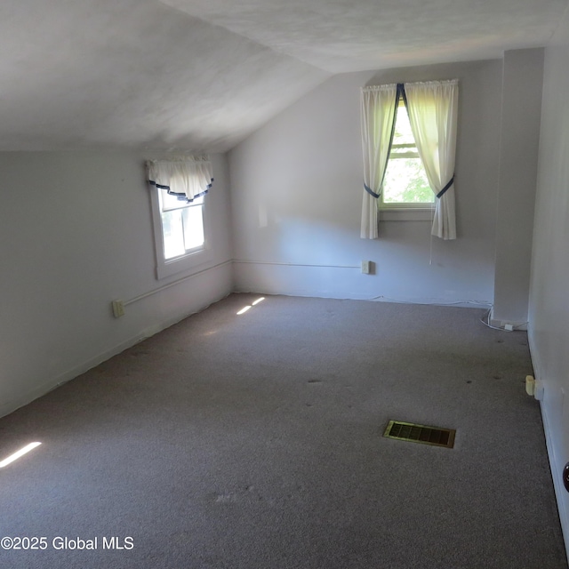 60 Bridge St, Broadalbin, NY 12025 - empty room featuring plenty of natural light, carpet flooring, and vaulted ceiling