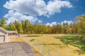 138 Lydon Ln, New Baltimore, NY 12087 - view of yard