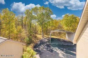 138 Lydon Ln, New Baltimore, NY 12087 - view of yard with a forest view