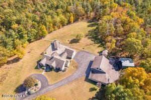 138 Lydon Ln, New Baltimore, NY 12087 - view of subject property with a forest