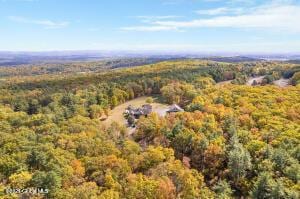 138 Lydon Ln, New Baltimore, NY 12087 - aerial view of a heavily wooded area