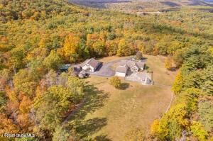 138 Lydon Ln, New Baltimore, NY 12087 - aerial view of a forest