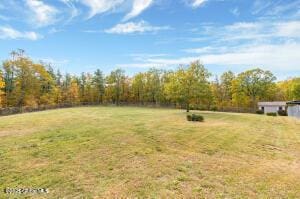 138 Lydon Ln, New Baltimore, NY 12087 - view of green lawn