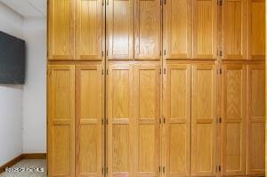 138 Lydon Ln, New Baltimore, NY 12087 - view of closet