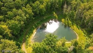 138 Lydon Ln, New Baltimore, NY 12087 - bird's eye view