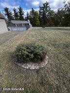 138 Lydon Ln, New Baltimore, NY 12087 - view of yard