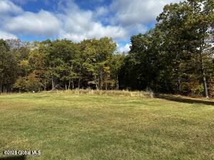 138 Lydon Ln, New Baltimore, NY 12087 - view of green lawn featuring a wooded view
