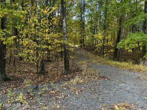 138 Lydon Ln, New Baltimore, NY 12087 - view of street