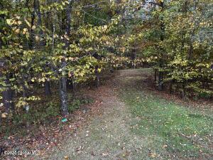 138 Lydon Ln, New Baltimore, NY 12087 - view of local wilderness