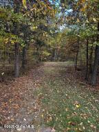 138 Lydon Ln, New Baltimore, NY 12087 - view of local wilderness