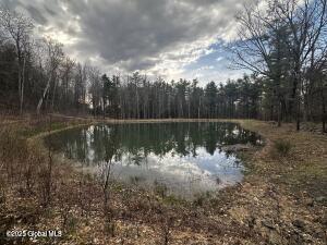 138 Lydon Ln, New Baltimore, NY 12087 - water view featuring a forest
