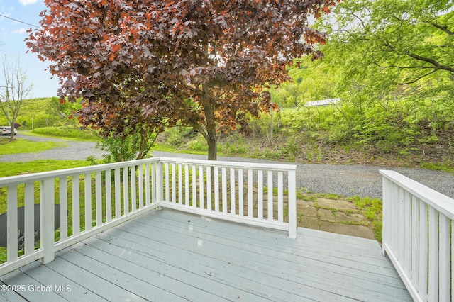 10610 State Highway 7, Worcester, NY 12064 - view of deck