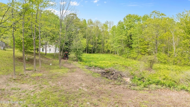 10610 State Highway 7, Worcester, NY 12064 - view of tree filled area