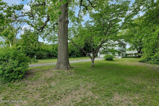27 Washington Ave, Colonie, NY 12205 - view of grassy yard with driveway