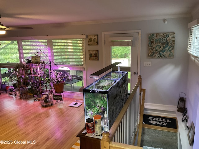 129 Okara Dr, Guilderland, NY 12303 - stairway featuring ceiling fan, wood finished floors, and crown molding