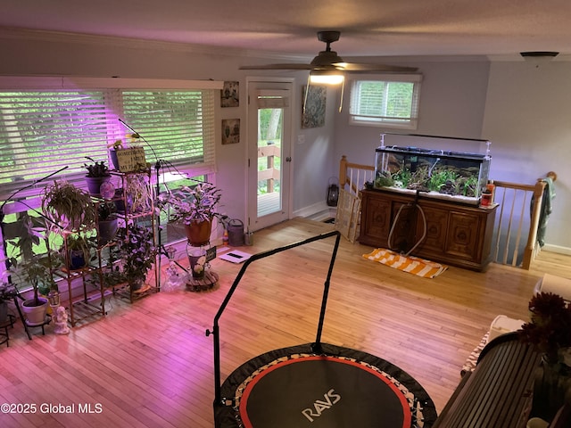 129 Okara Dr, Guilderland, NY 12303 - living area featuring wood-type flooring, healthy amount of natural light, ceiling fan, and ornamental molding