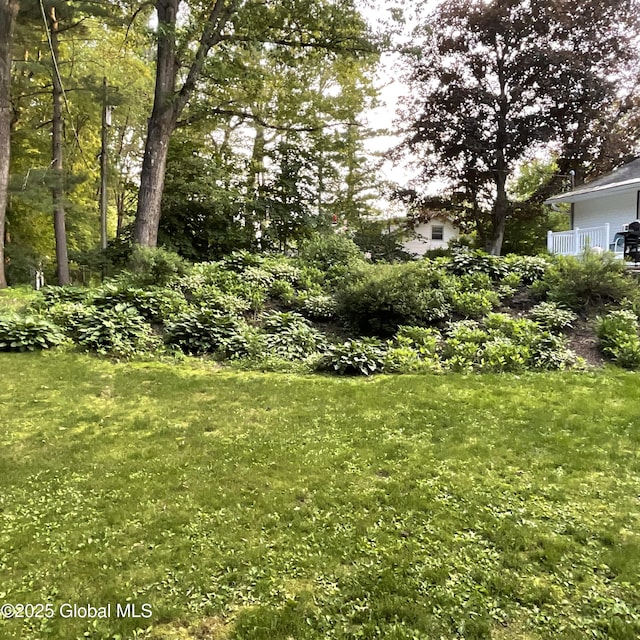 129 Okara Dr, Guilderland, NY 12303 - view of green lawn