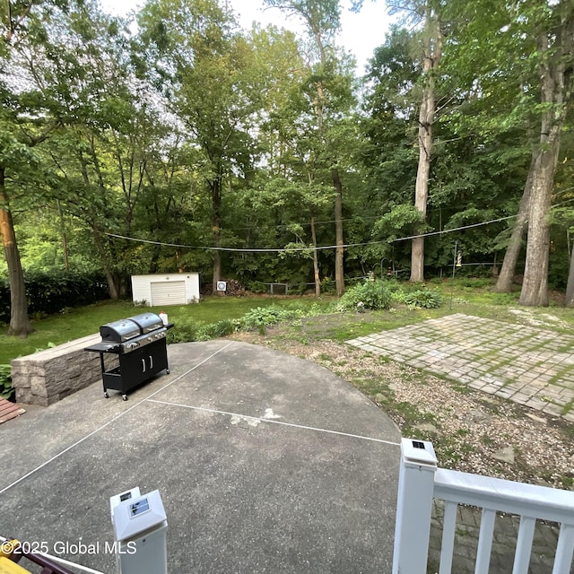 129 Okara Dr, Guilderland, NY 12303 - view of patio featuring grilling area