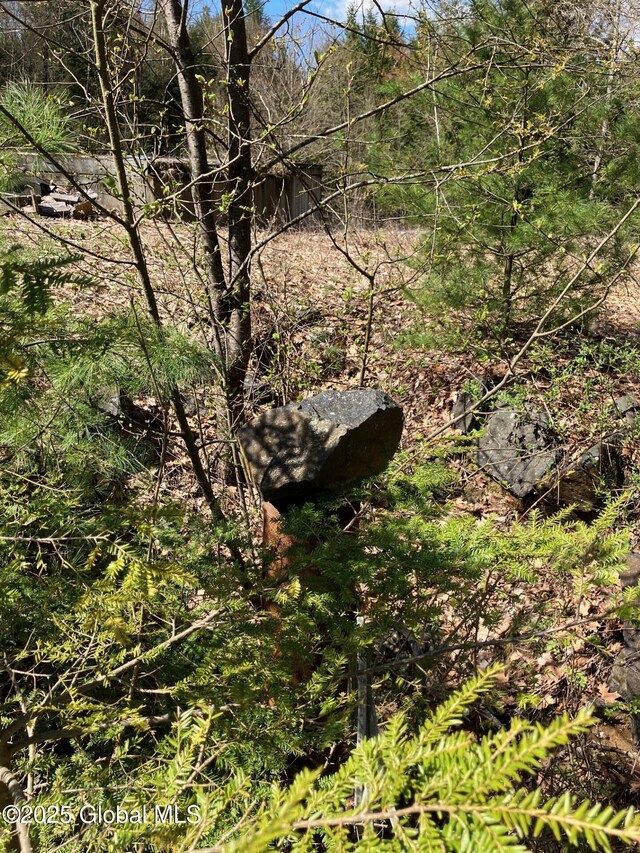 90 Indian Summit Dr, Bolton, NY 12814