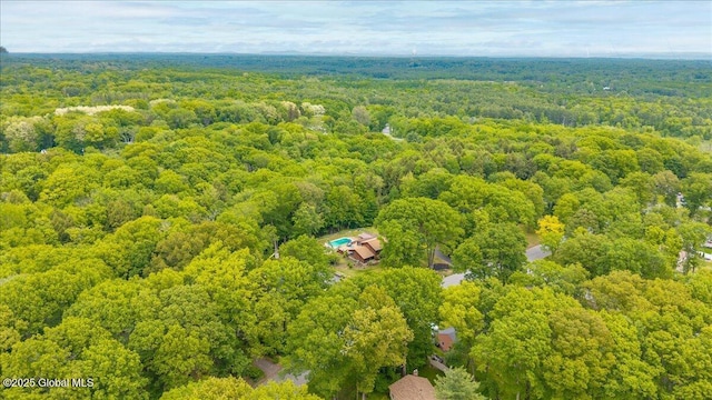 29 Via Maria Dr, Glenville, NY 12302 - photo 23