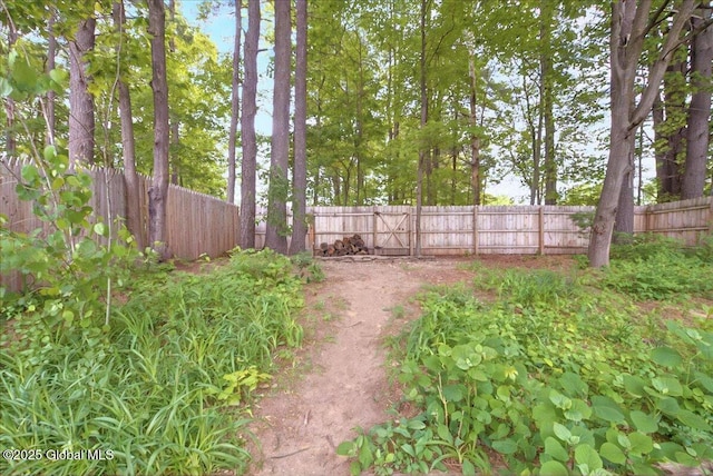 60 Tallow Wood Dr, Clifton Park, NY 12065 - view of fenced backyard