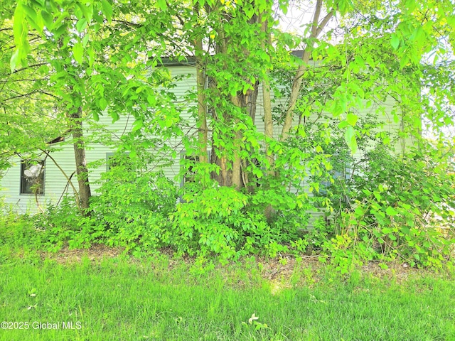 109 E Main St, Milford, NY 13807 - photo 3
