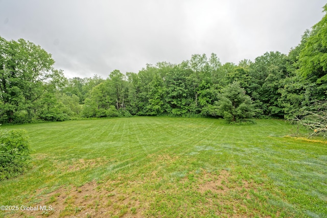 9 Miner Rd, Corinth, NY 12859 - photo 44