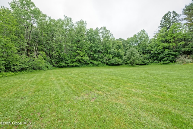 9 Miner Rd, Corinth, NY 12859 - photo 46