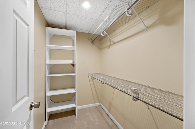 3119 State Route 150, Schodack, NY 12063 - walk in closet with light colored carpet and a paneled ceiling