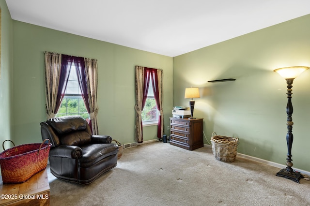 3119 State Route 150, Schodack, NY 12063 - sitting room featuring light colored carpet and baseboards