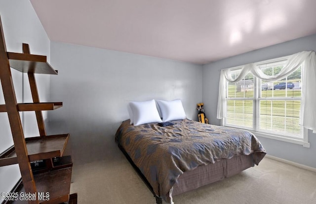 3119 State Route 150, Schodack, NY 12063 - carpeted bedroom with baseboards
