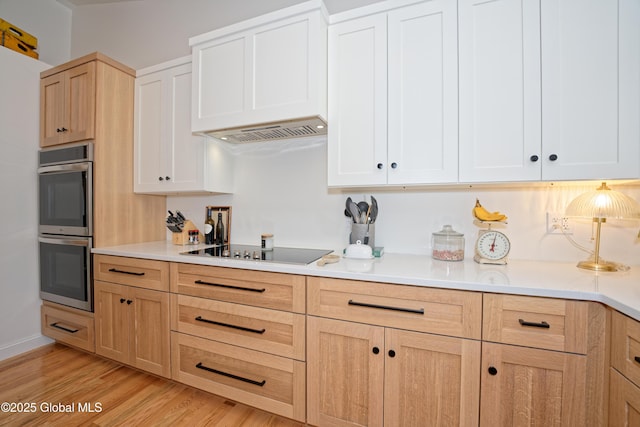17 Ringwald Rd, Coeymans, NY 12046 - kitchen featuring double oven, black electric stovetop, light wood-style floors, custom exhaust hood, and light countertops