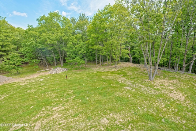17 Ringwald Rd, Coeymans, NY 12046 - view of yard