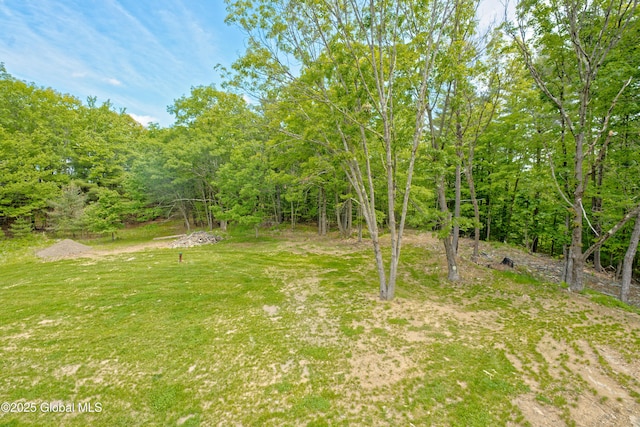 17 Ringwald Rd, Coeymans, NY 12046 - view of yard