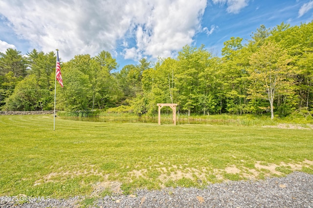 17 Ringwald Rd, Coeymans, NY 12046 - view of grassy yard with a view of trees