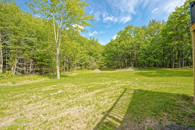 17 Ringwald Rd, Coeymans, NY 12046 - view of grassy yard featuring a wooded view