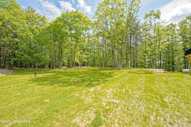 17 Ringwald Rd, Coeymans, NY 12046 - view of grassy yard