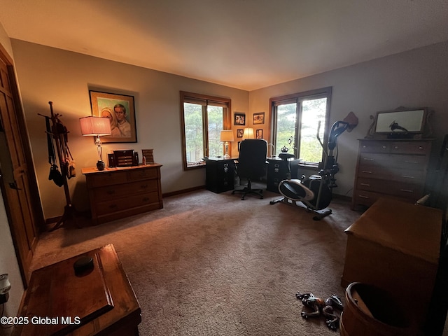 27 Park Dr, Menands, NY 12204 - photo 21