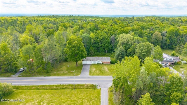 149 Wilton Rd, Greenfield, NY 12833 - drone / aerial view of a forest