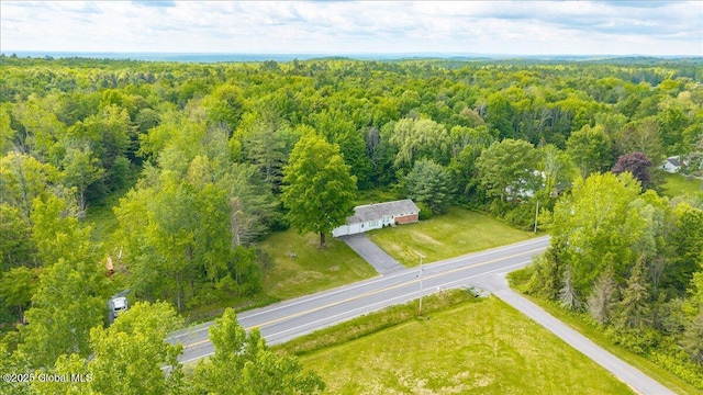 149 Wilton Rd, Greenfield, NY 12833 - drone / aerial view of a forest