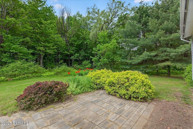 149 Wilton Rd, Greenfield, NY 12833 - view of patio