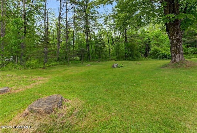 149 Wilton Rd, Greenfield, NY 12833 - view of grassy yard