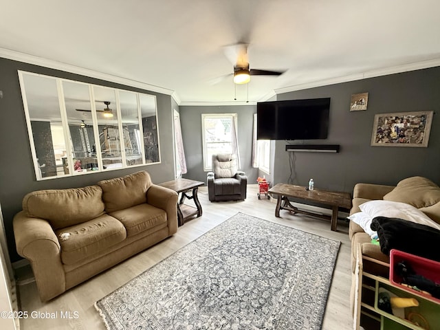 243 N Perry St, Johnstown, NY 12095 - living room with ceiling fan, ornamental molding, and wood finished floors