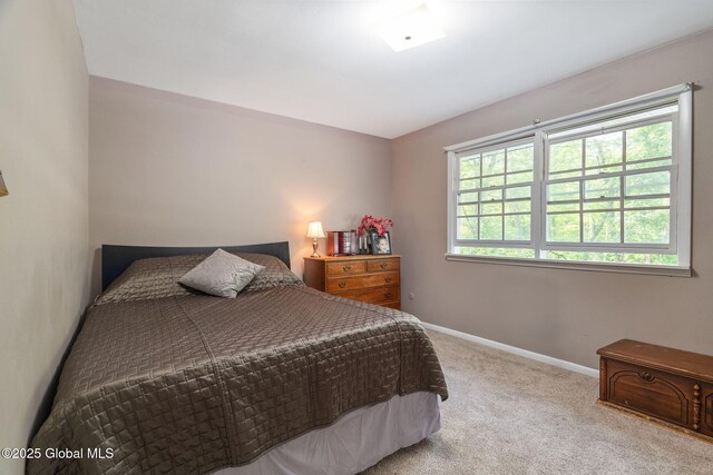3649 E Lydius St, Guilderland, NY 12303 - photo 32