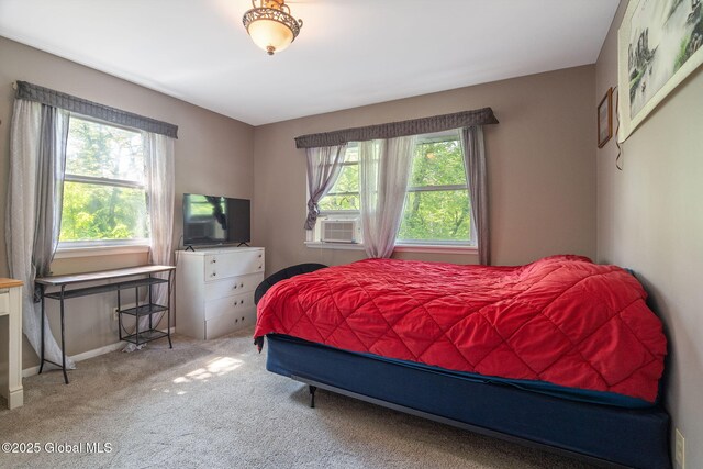3649 E Lydius St, Guilderland, NY 12303 - photo 34
