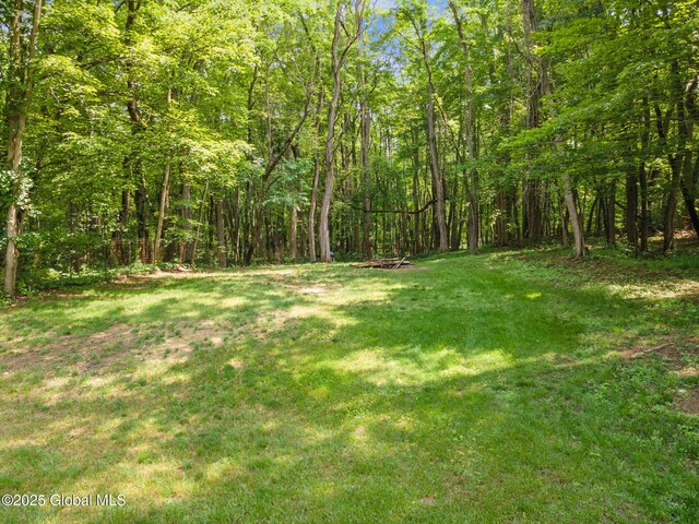 3649 E Lydius St, Guilderland, NY 12303 - photo 48