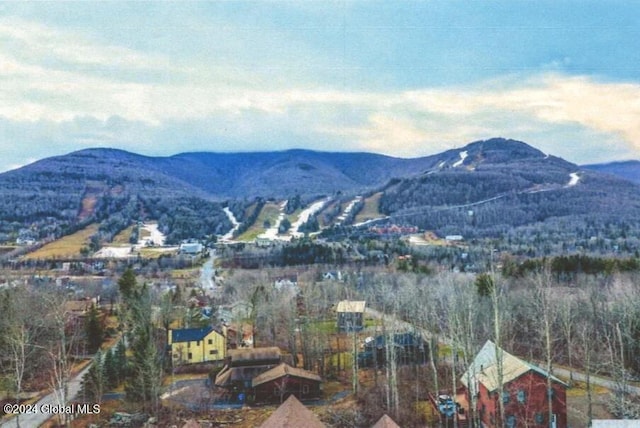 167 Botti Dr, Hunter, NY 12442 - view of mountain backdrop