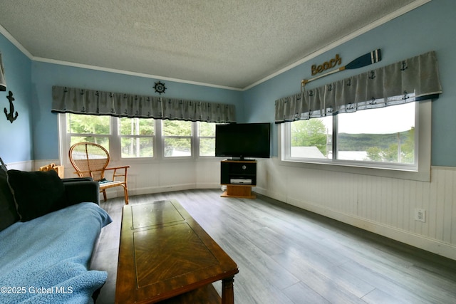 202 Lakeland Rd, Edinburg, NY 12835 - living room with a textured ceiling, wood finished floors, plenty of natural light, crown molding, and wainscoting