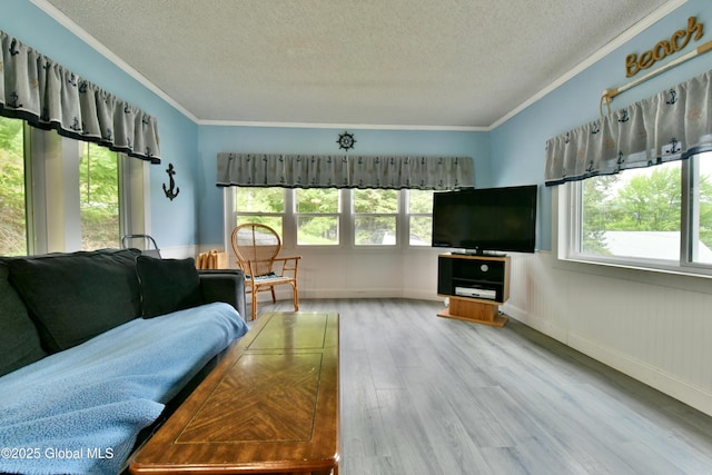 202 Lakeland Rd, Edinburg, NY 12835 - living room with a textured ceiling, plenty of natural light, wood finished floors, ornamental molding, and baseboards